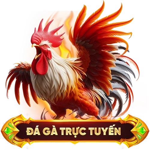 đá gà trực tuyến 88AA